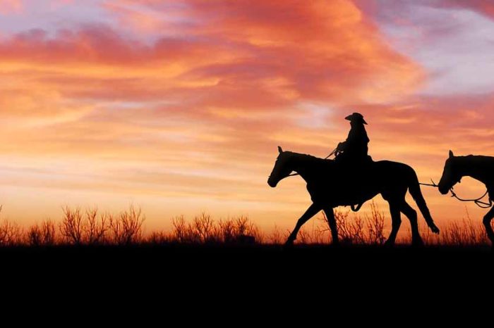 Il meglio del Texas in Self-Drive