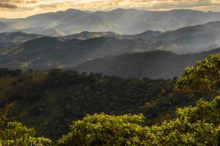 Brasile: un viaggio nella natura